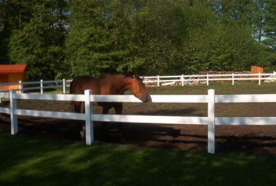 Ogrodzenia dla koni